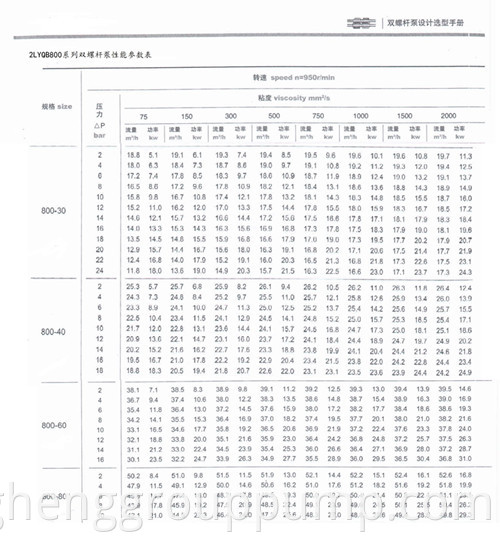 Double screw pump 800series1